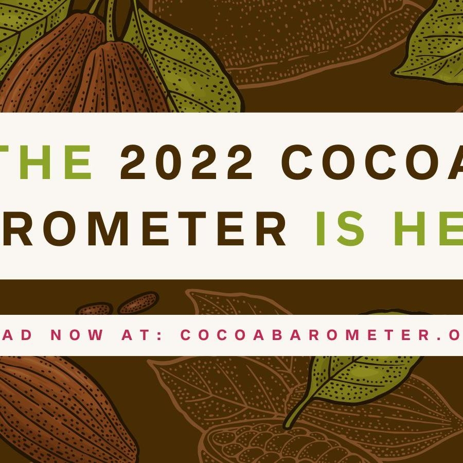 Kakao-Barometer 2020