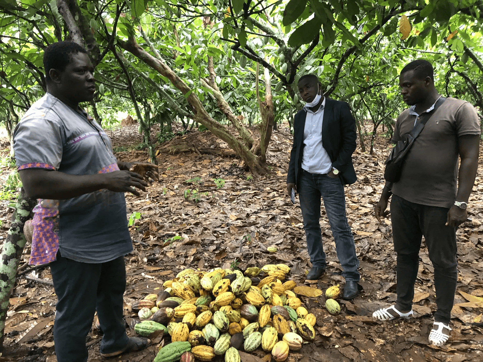 Un cultivateur de cacao de la coopérative Société Equitable du Bandama en Côte d'Ivoire explique ce qui est important dans la culture bio